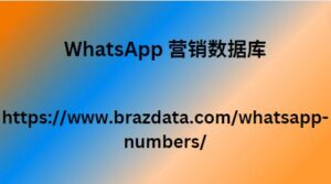 WhatsApp 营销数据库