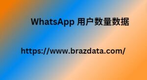 WhatsApp 用户数量数据