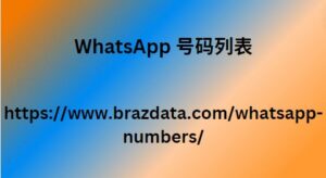 WhatsApp 号码列表