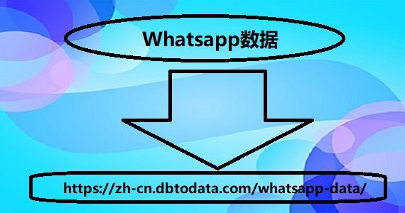 Whatsapp数据